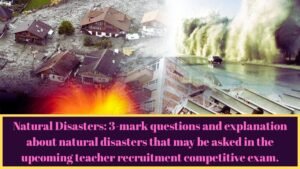 Natural Disasters